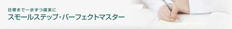 スモールステップ・パーフェクトマスター